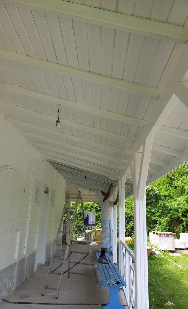 Artisan peintre Martinique